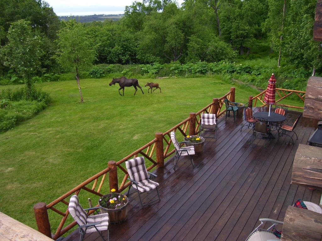 Juneberry Lodge Homer Dış mekan fotoğraf