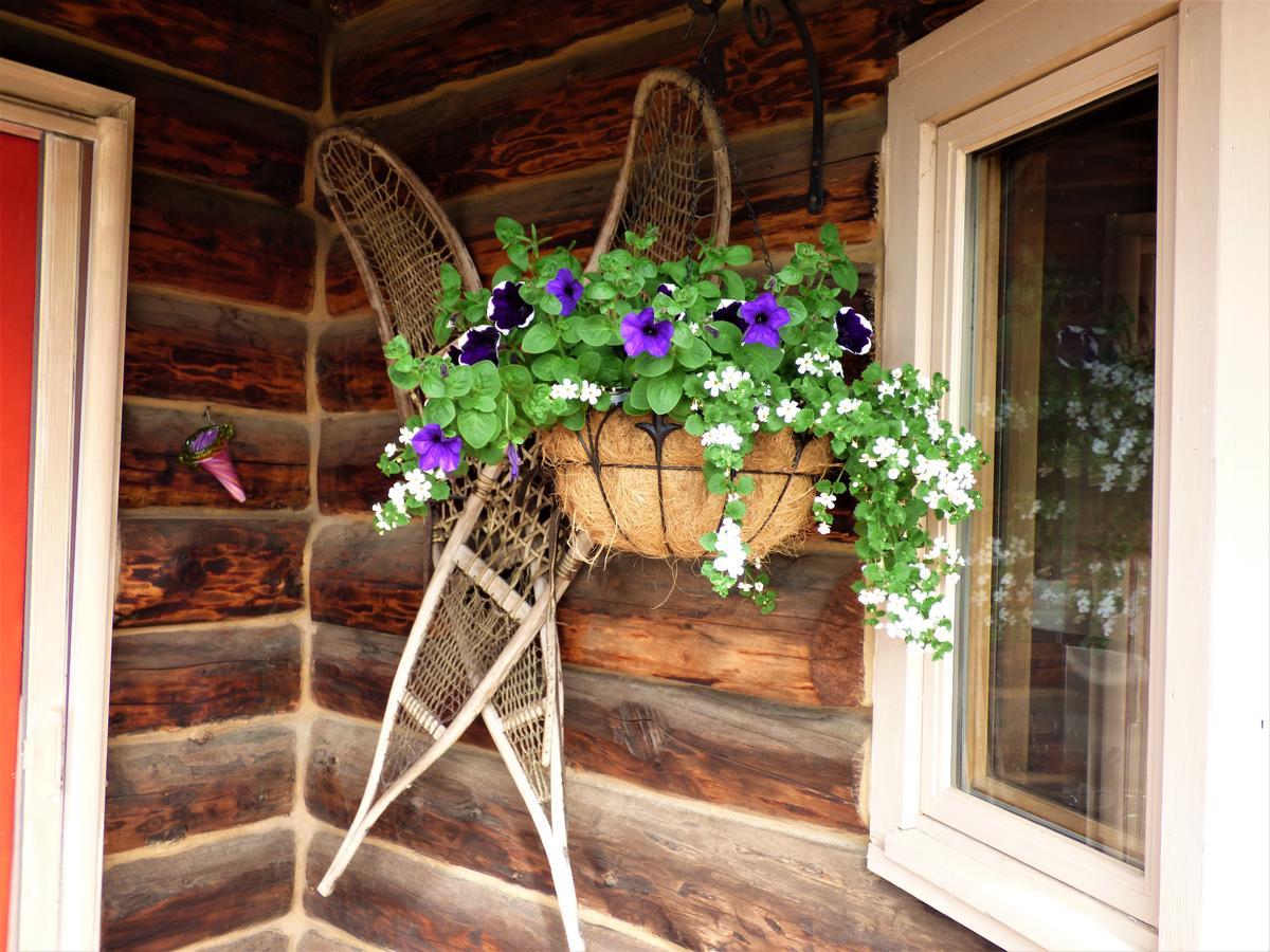 Juneberry Lodge Homer Dış mekan fotoğraf