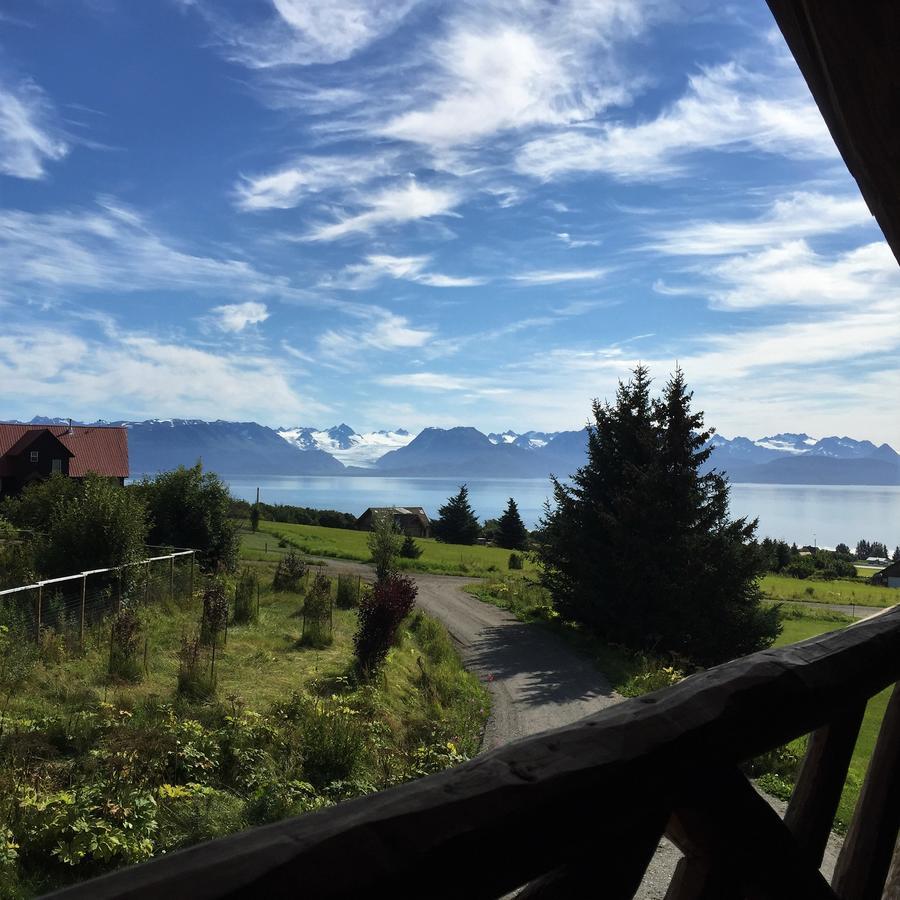 Juneberry Lodge Homer Dış mekan fotoğraf