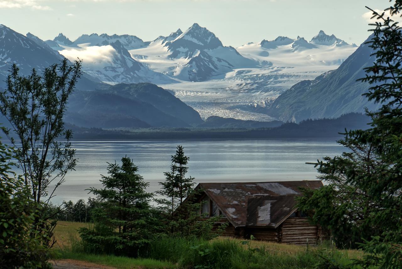 Juneberry Lodge Homer Dış mekan fotoğraf