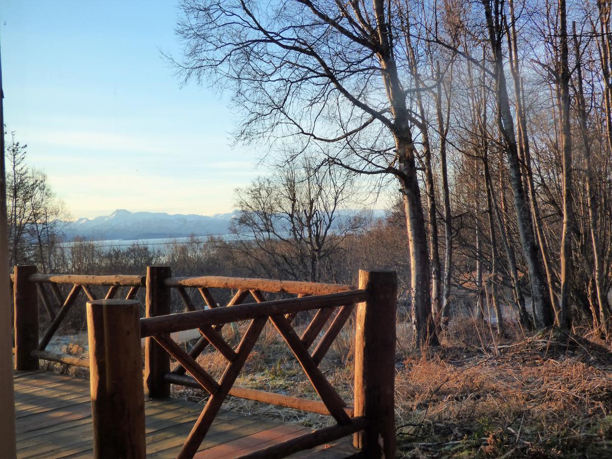 Juneberry Lodge Homer Dış mekan fotoğraf