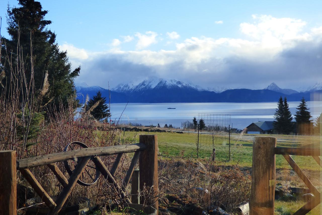 Juneberry Lodge Homer Dış mekan fotoğraf