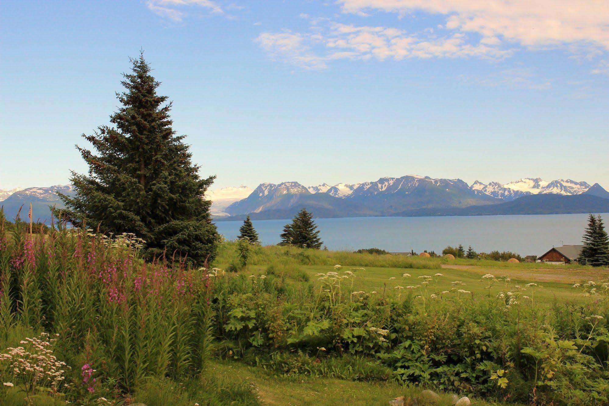Juneberry Lodge Homer Dış mekan fotoğraf