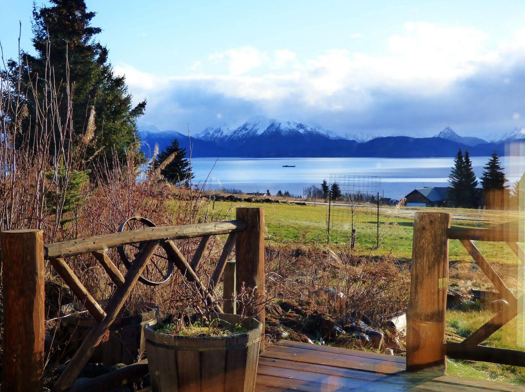 Juneberry Lodge Homer Dış mekan fotoğraf